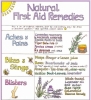 Liz Cook Wall Chart - Natural First Aid