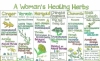 Liz Cook Wall Chart - A Woman's Healing Herbs