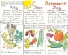 Liz Cook Wall Chart - Seasonal Food Chart