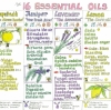 Liz Cook Wall Chart - The 16 Essential Oils